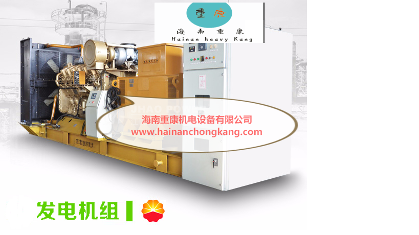 海南(nan)重(zhong)康柴油髮(fa)電(dian)機(jī)組電(dian)控泵噴嘴的(de)結構